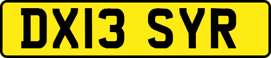 DX13SYR