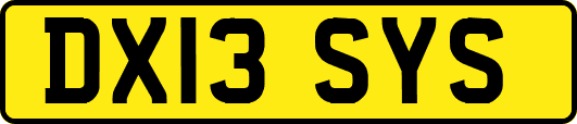 DX13SYS