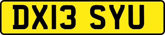 DX13SYU