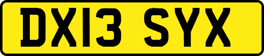 DX13SYX