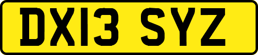 DX13SYZ
