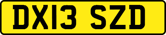 DX13SZD