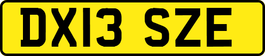 DX13SZE