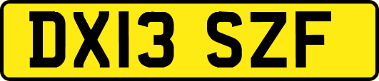 DX13SZF