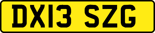 DX13SZG