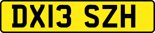 DX13SZH