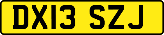 DX13SZJ