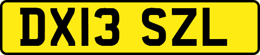 DX13SZL