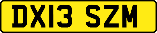 DX13SZM