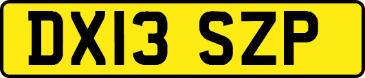 DX13SZP