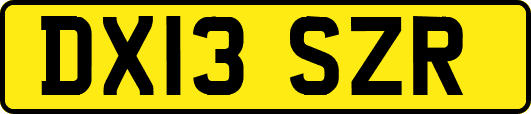 DX13SZR