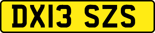 DX13SZS