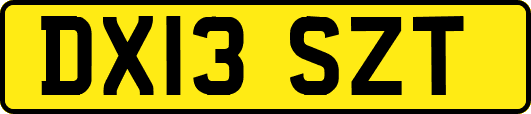 DX13SZT