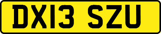 DX13SZU