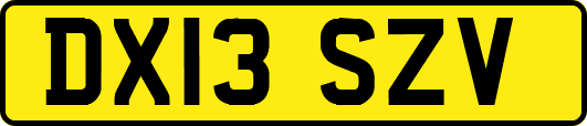 DX13SZV