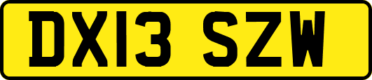 DX13SZW