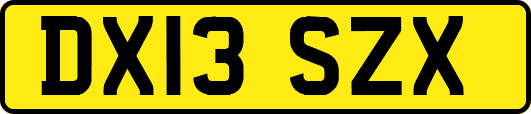 DX13SZX