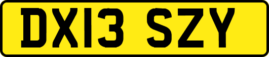 DX13SZY