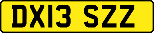 DX13SZZ