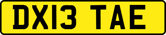DX13TAE