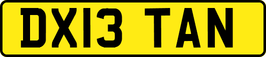 DX13TAN