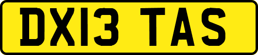 DX13TAS