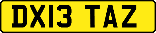 DX13TAZ
