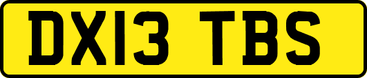 DX13TBS