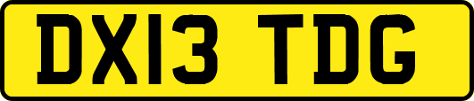 DX13TDG
