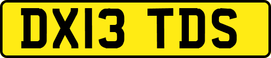 DX13TDS