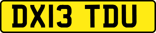 DX13TDU