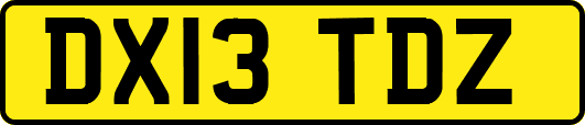 DX13TDZ