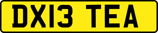 DX13TEA