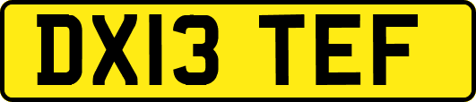 DX13TEF