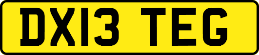 DX13TEG