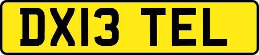 DX13TEL