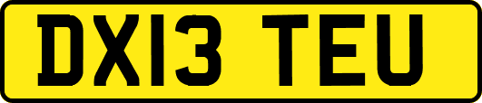 DX13TEU