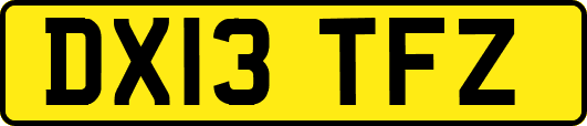 DX13TFZ