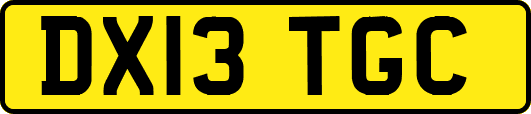 DX13TGC