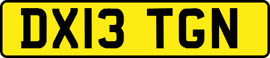 DX13TGN