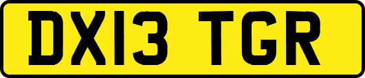 DX13TGR
