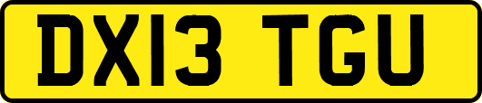 DX13TGU
