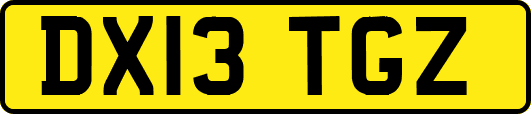 DX13TGZ