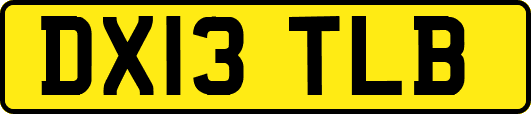 DX13TLB