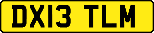 DX13TLM