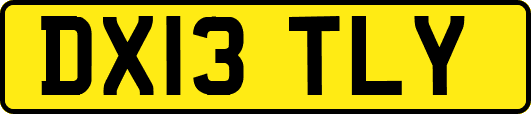 DX13TLY