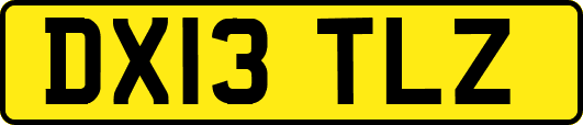DX13TLZ