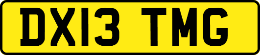 DX13TMG