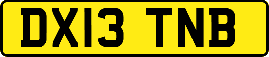 DX13TNB