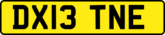 DX13TNE